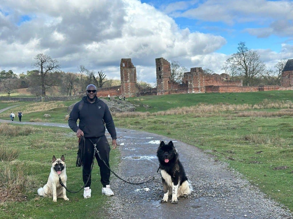 Dami walking two American Akitas on loose leads at Bradgate Park